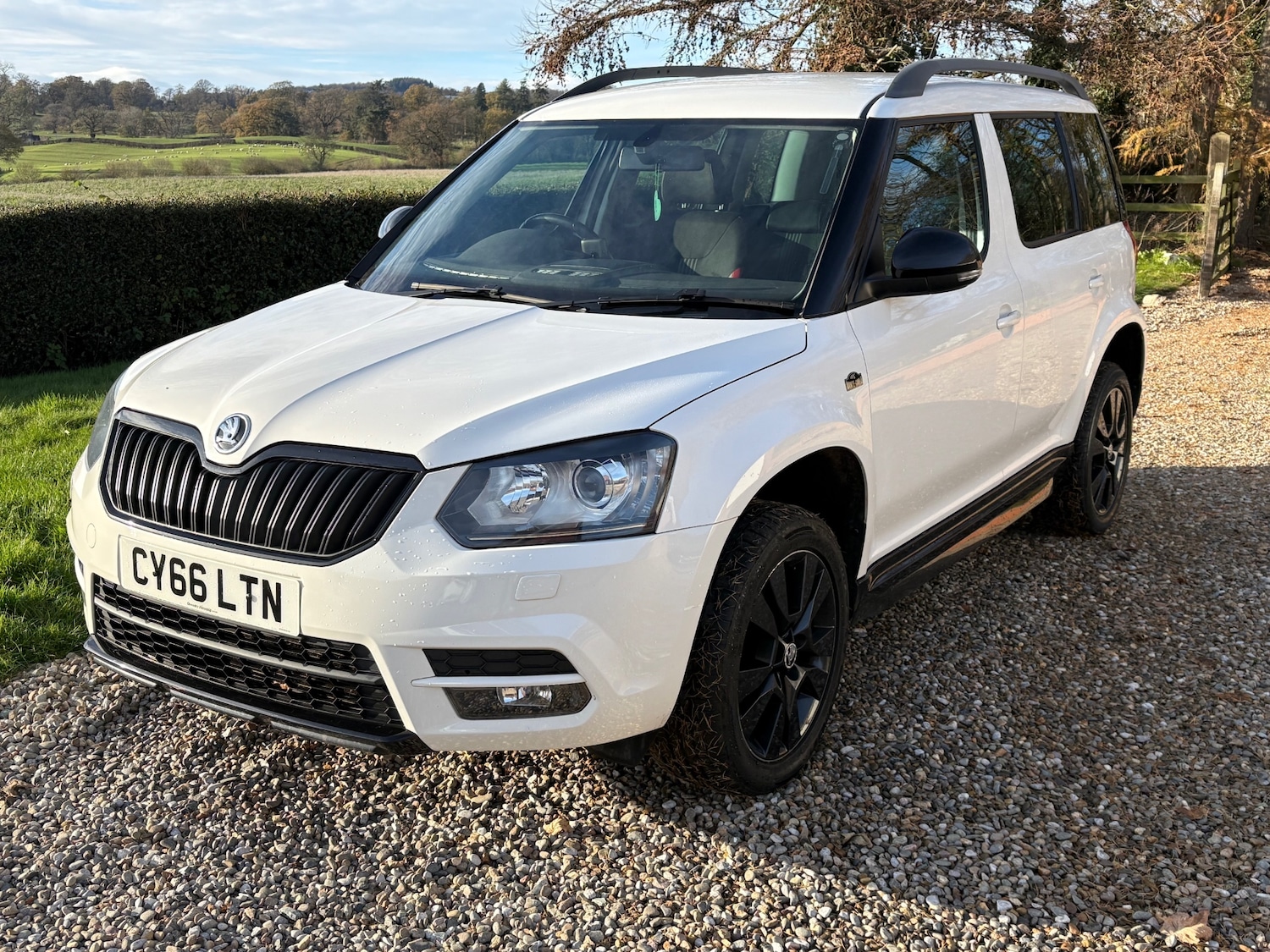 Used Skoda Yeti 2017 for sale - 76662517: Photo 28