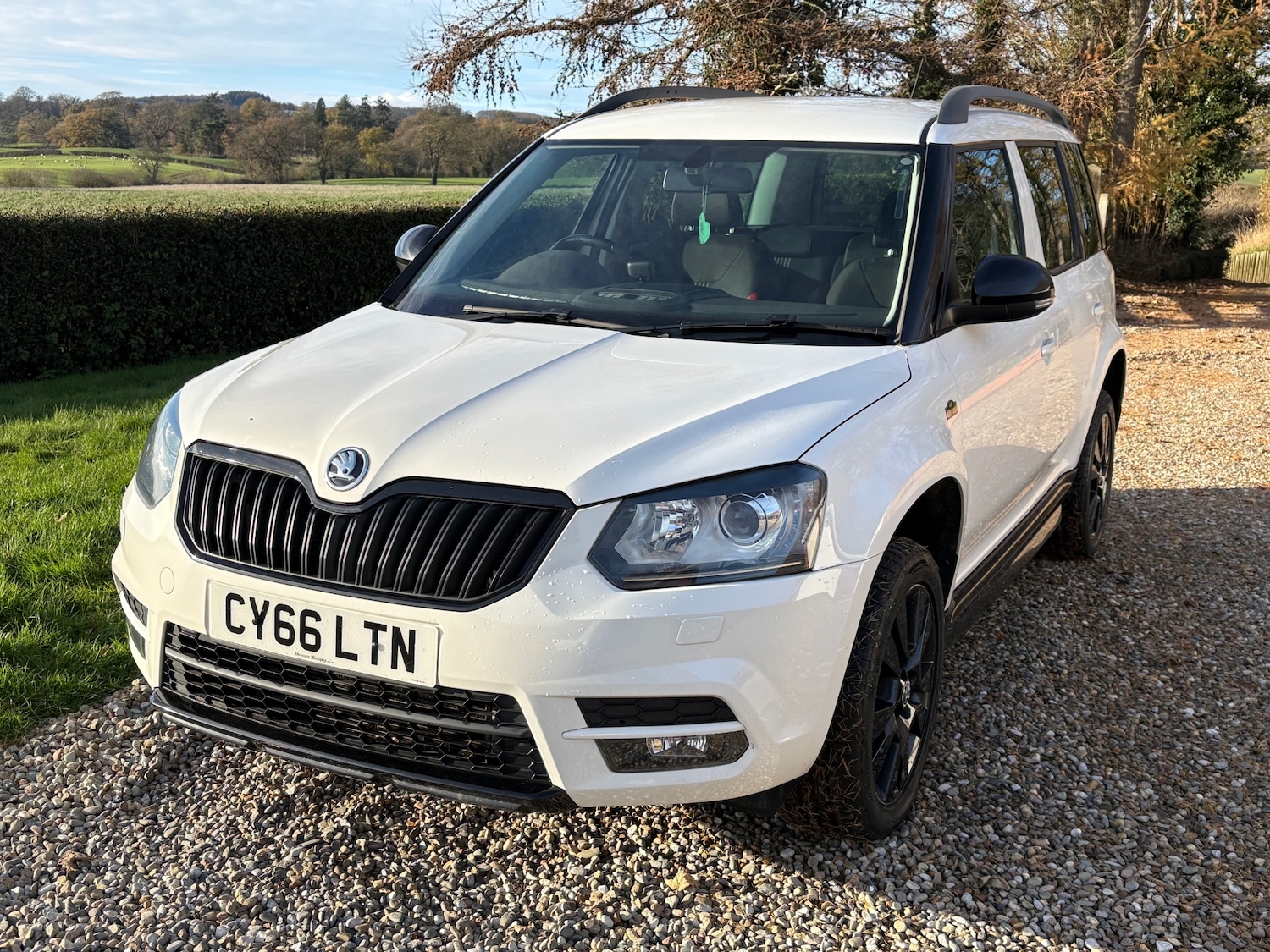 Used Skoda Yeti 2017 for sale - 76662517: Photo 44