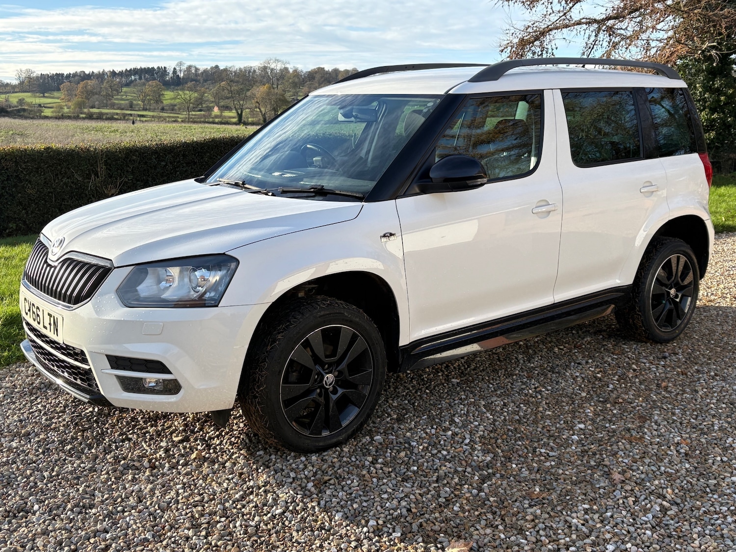 Used Skoda Yeti 2017 for sale - 76662517: Photo 49