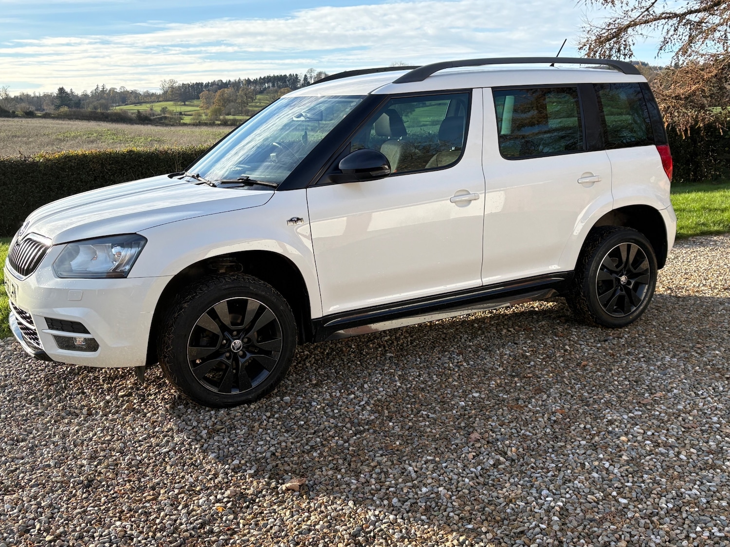 Used Skoda Yeti 2017 for sale - 76662517: Photo 51