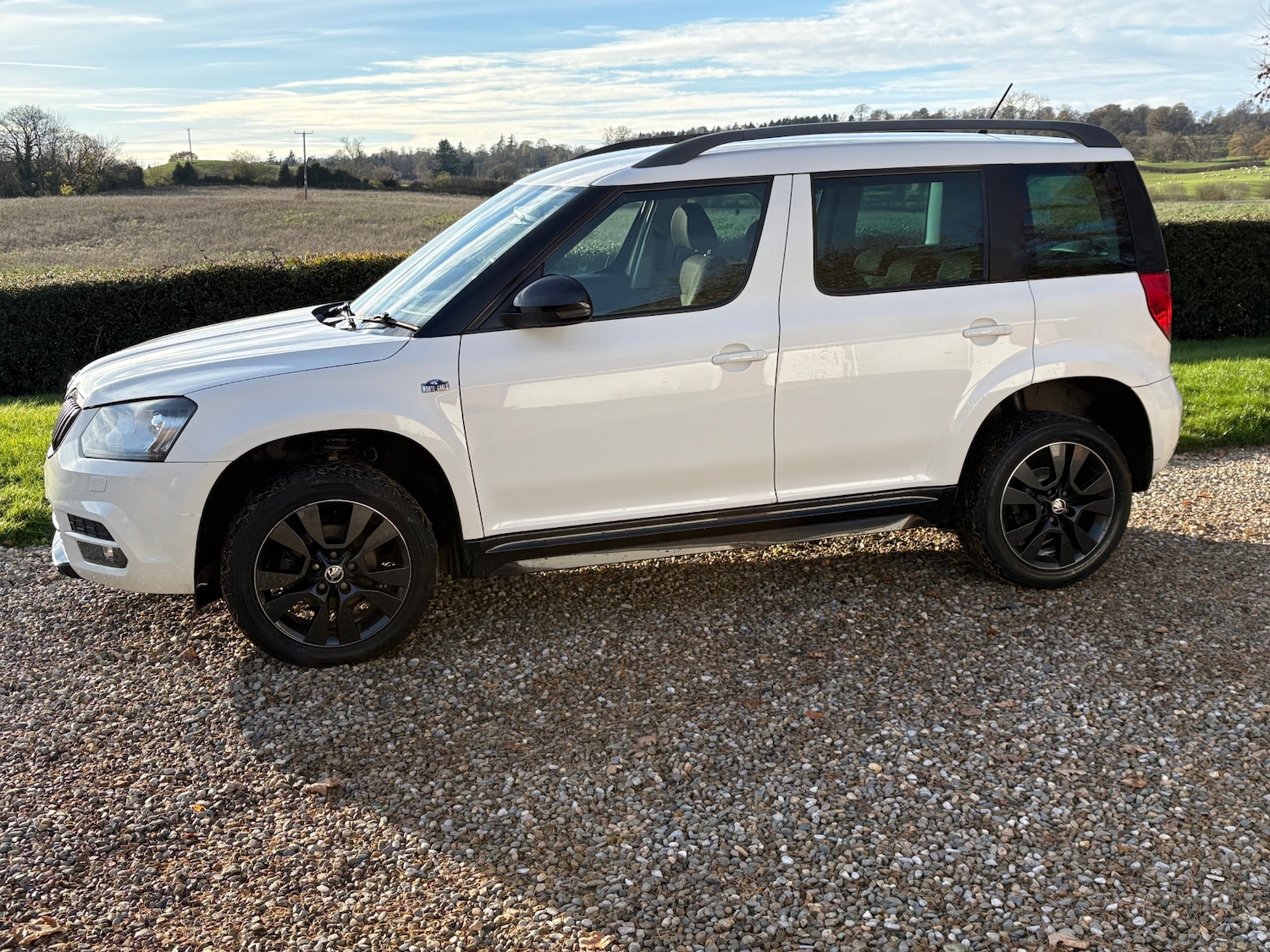Used Skoda Yeti 2017 for sale - 76662517: Photo 52