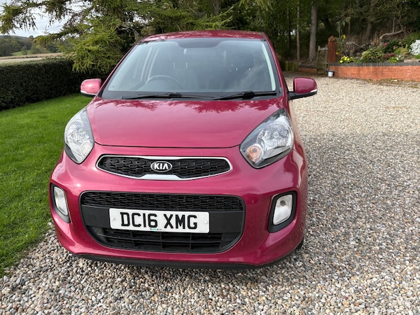 Used Kia Picanto 2016 for sale - 76178039: Photo 14