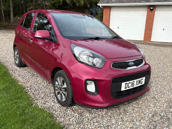 Used Kia Picanto 2016 for sale - 76178039: Photo 19