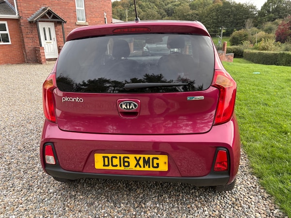 Used Kia Picanto 2016 for sale - 76178039: Photo 20