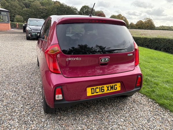 Used Kia Picanto 2016 for sale - 76178039: Photo 24