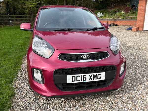 Used Kia Picanto 2016 for sale - 76178039: Photo 25