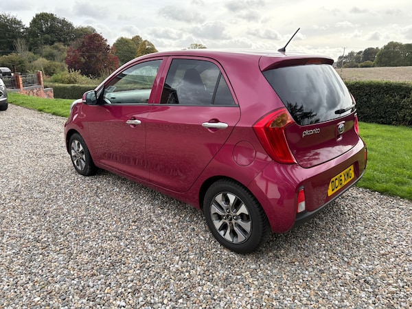 Used Kia Picanto 2016 for sale - 76178039: Photo 41
