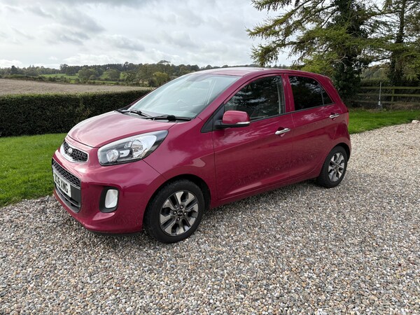 Used Kia Picanto 2016 for sale - 76178039: Photo 42