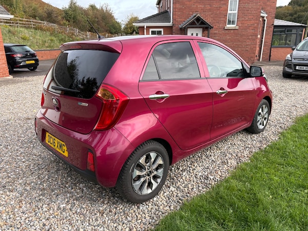 Used Kia Picanto 2016 for sale - 76178039: Photo 45