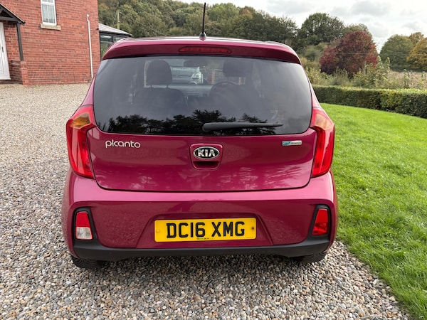 Used Kia Picanto 2016 for sale - 76178039: Photo 48
