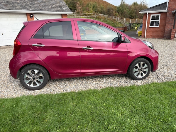 Used Kia Picanto 2016 for sale - 76178039: Photo 49