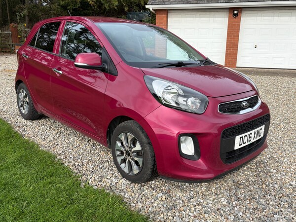 Used Kia Picanto 2016 for sale - 76178039: Photo 50