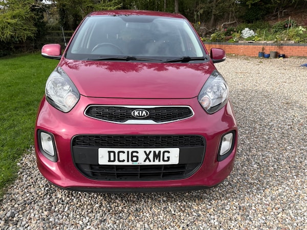 Used Kia Picanto 2016 for sale - 76178039: Photo 51