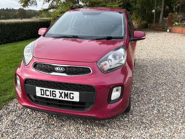 Used Kia Picanto 2016 for sale - 76178039: Photo 52
