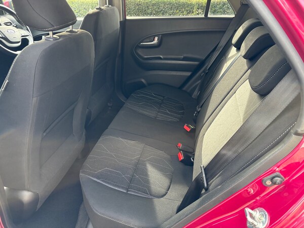 Used Kia Picanto 2016 for sale - 76178039: Photo 5