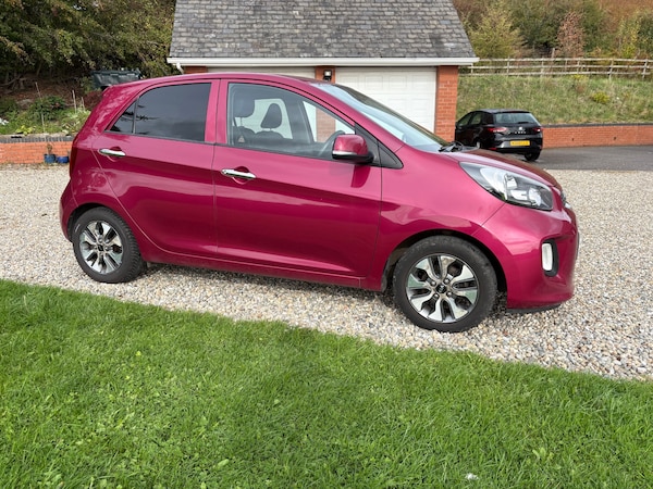 Used Kia Picanto 2016 for sale - 76178039: Photo 9
