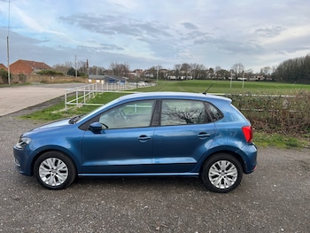 Used Volkswagen Polo 2016 for sale - 77528804: Photo