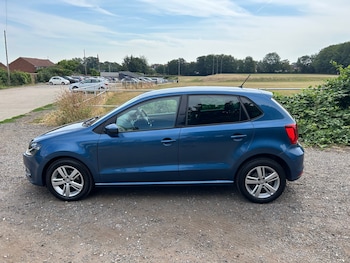 Used Volkswagen Polo 2017 for sale - 79173512: Photo