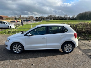 Used Volkswagen Polo 2011 for sale - 77223031: Photo