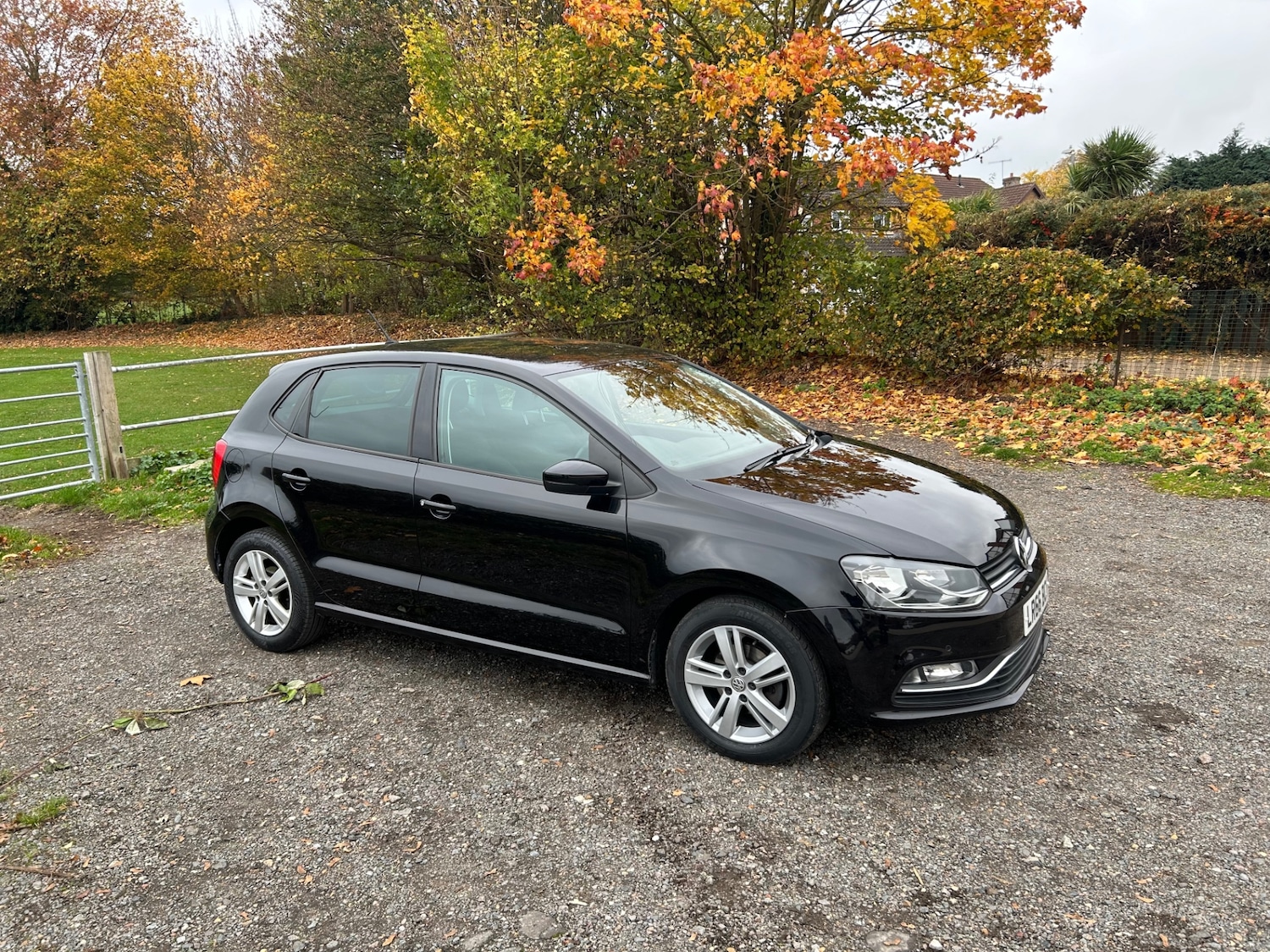 Used Volkswagen Polo 2016 for sale - 76511085: Photo 3