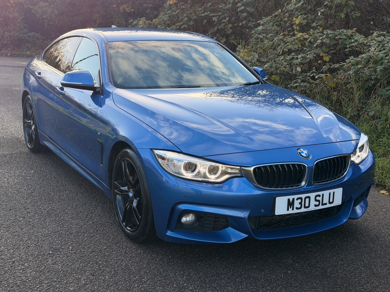 Used BMW 4 Series 2016 for sale - 76801328: Photo 1