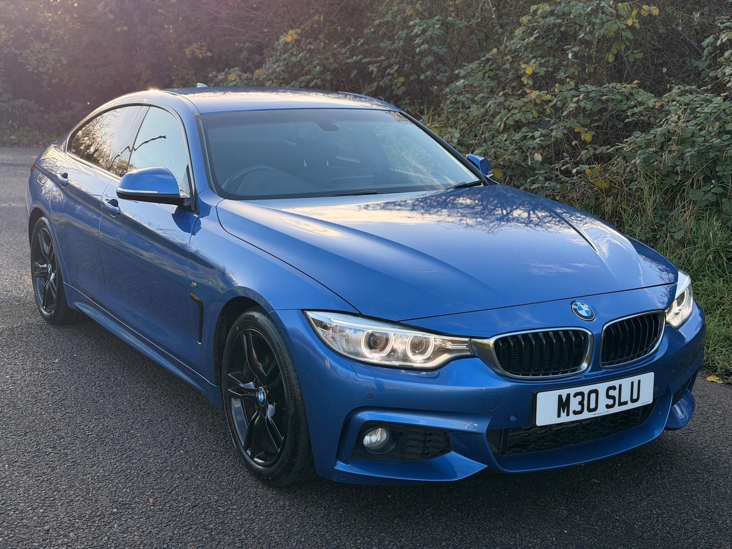 Used BMW 4 Series 2016 for sale - 76801328: Photo 13