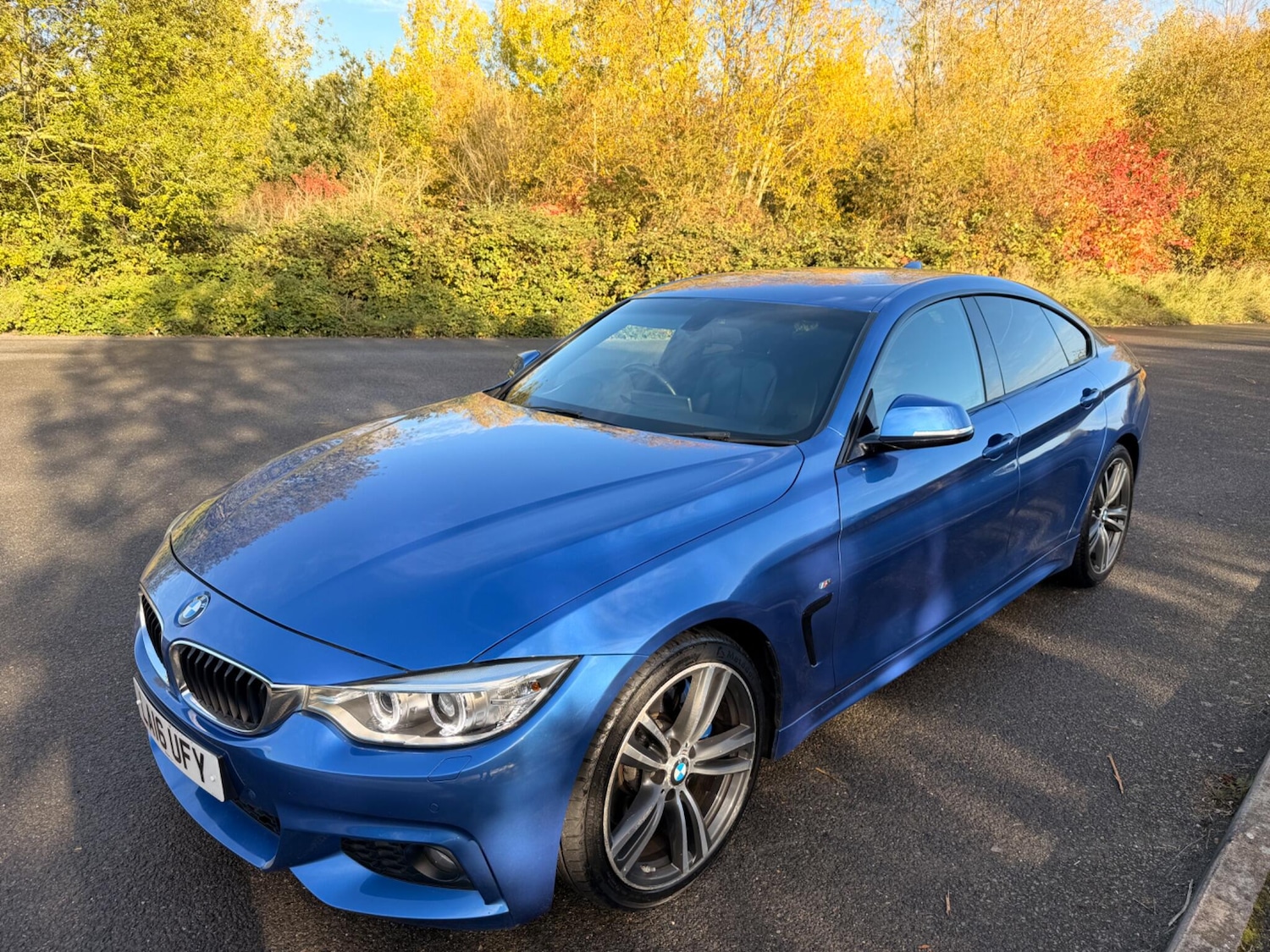 Used BMW 4 Series 2016 for sale - 76408788: Photo 19