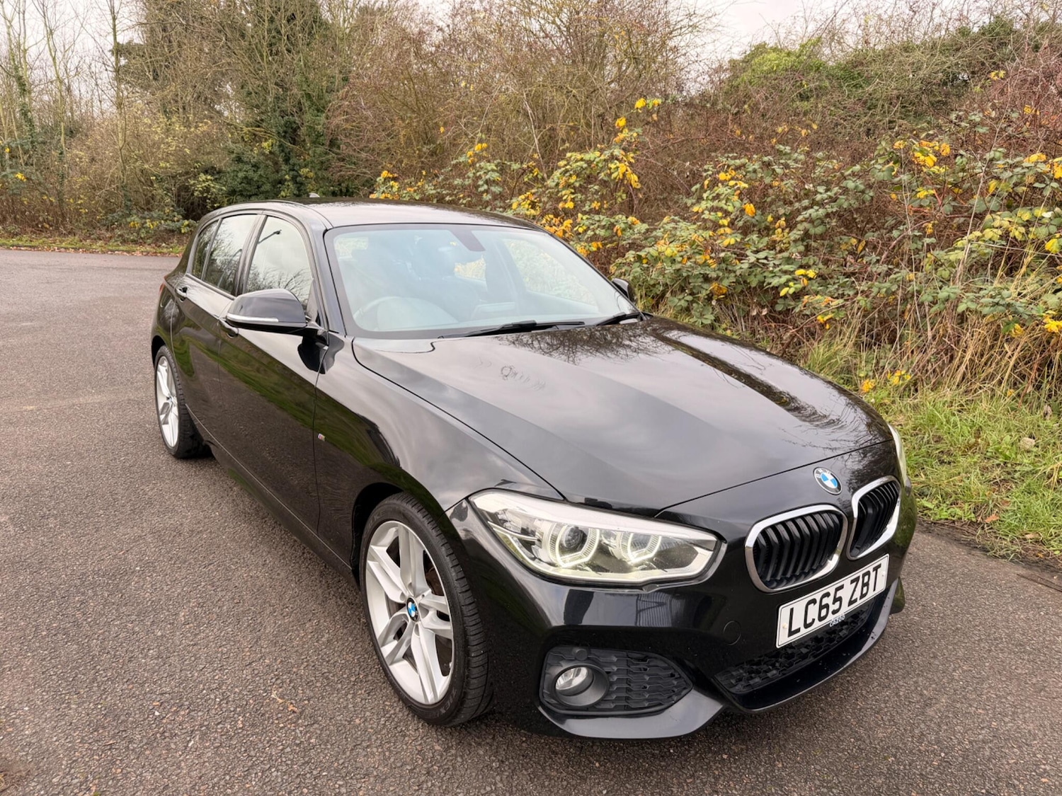 Used BMW 1 Series 2015 for sale - 76926477: Photo 1