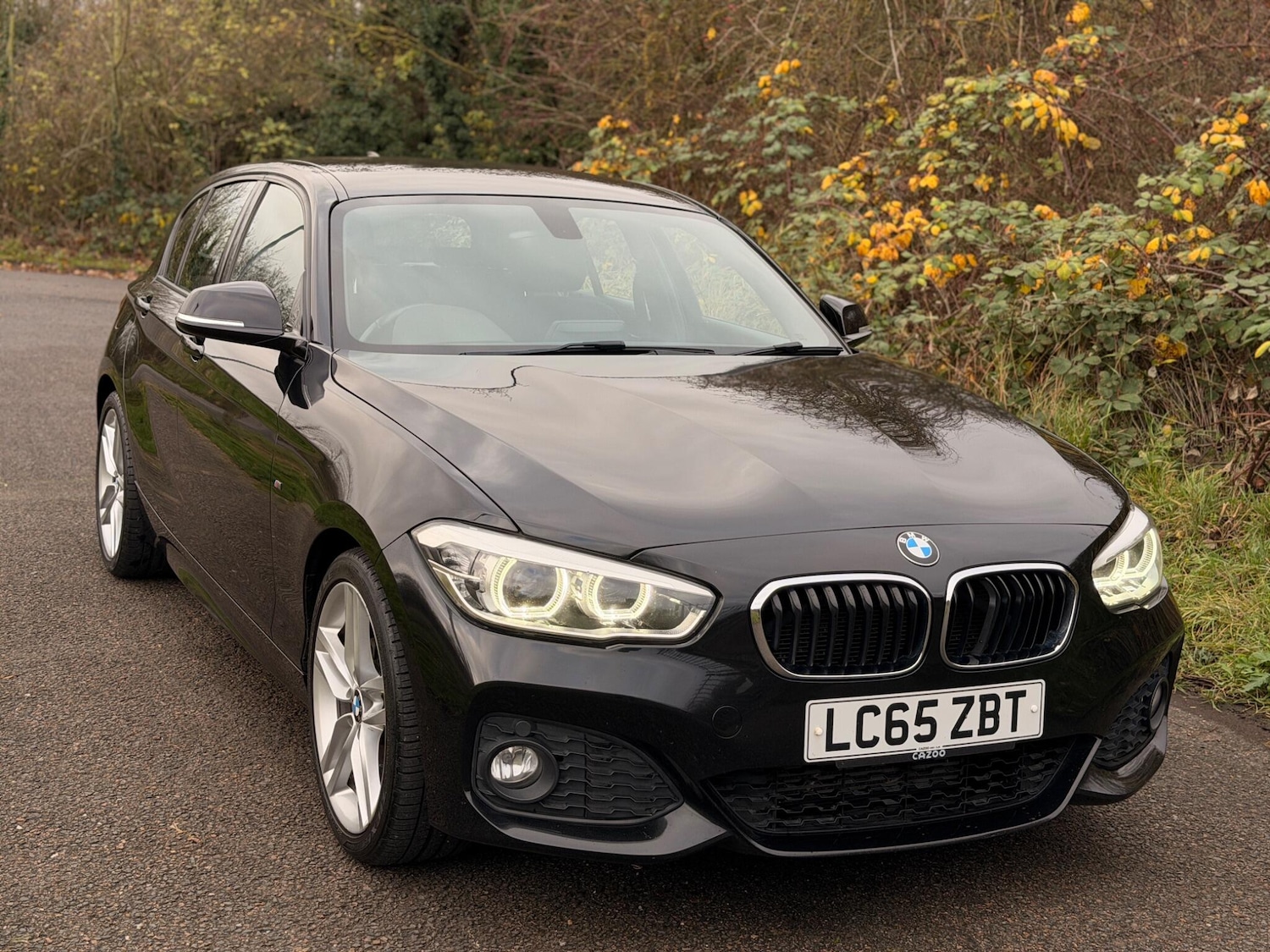 Used BMW 1 Series 2015 for sale - 76926477: Photo 15