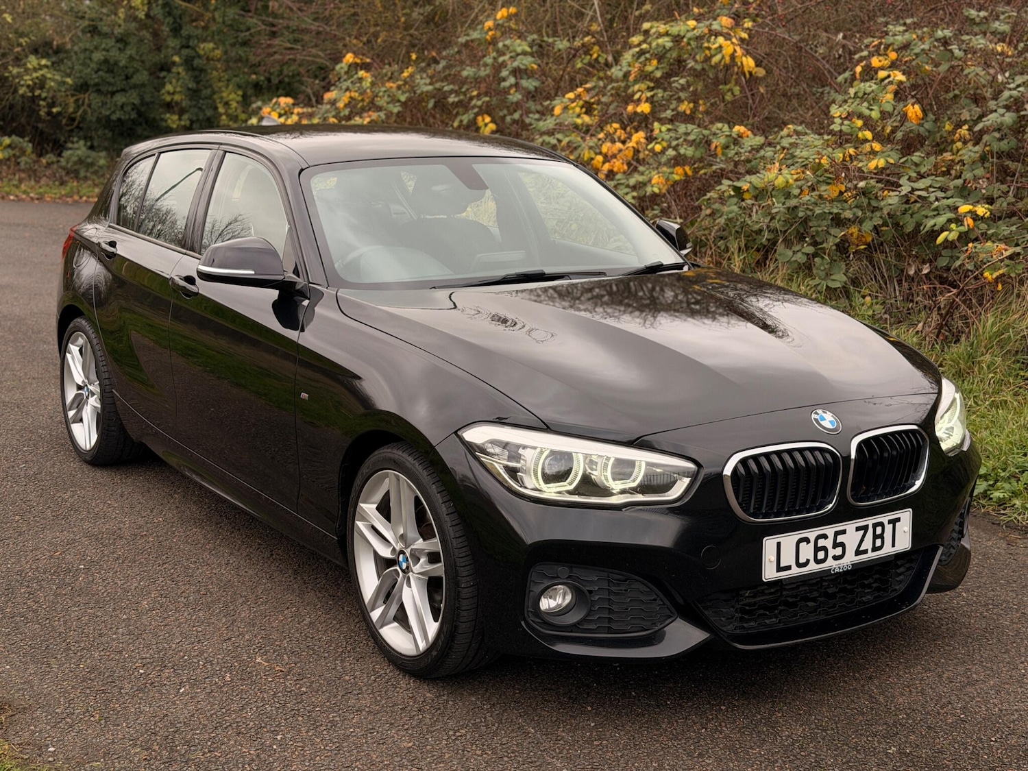 Used BMW 1 Series 2015 for sale - 76926477: Photo 16