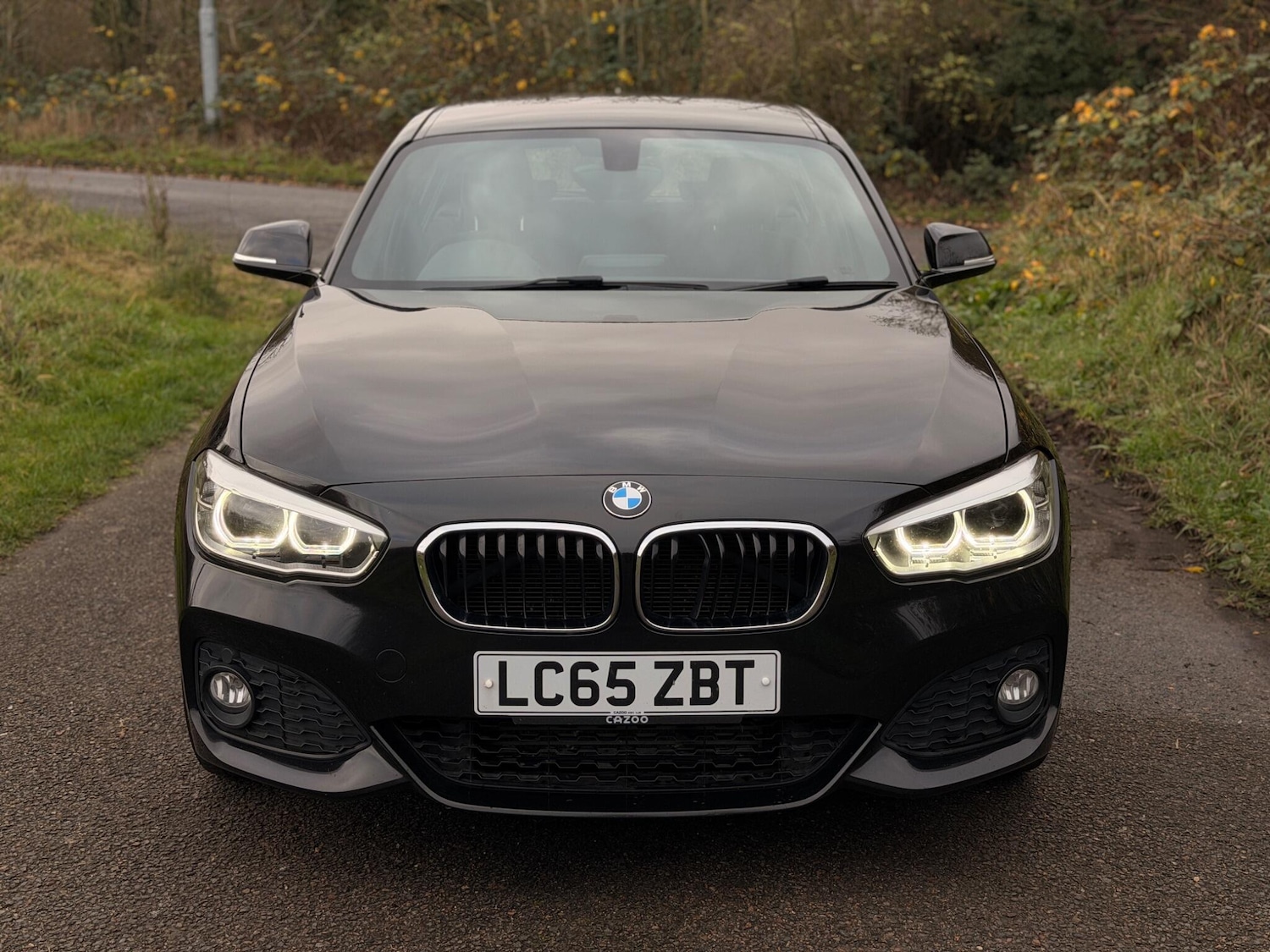 Used BMW 1 Series 2015 for sale - 76926477: Photo 2