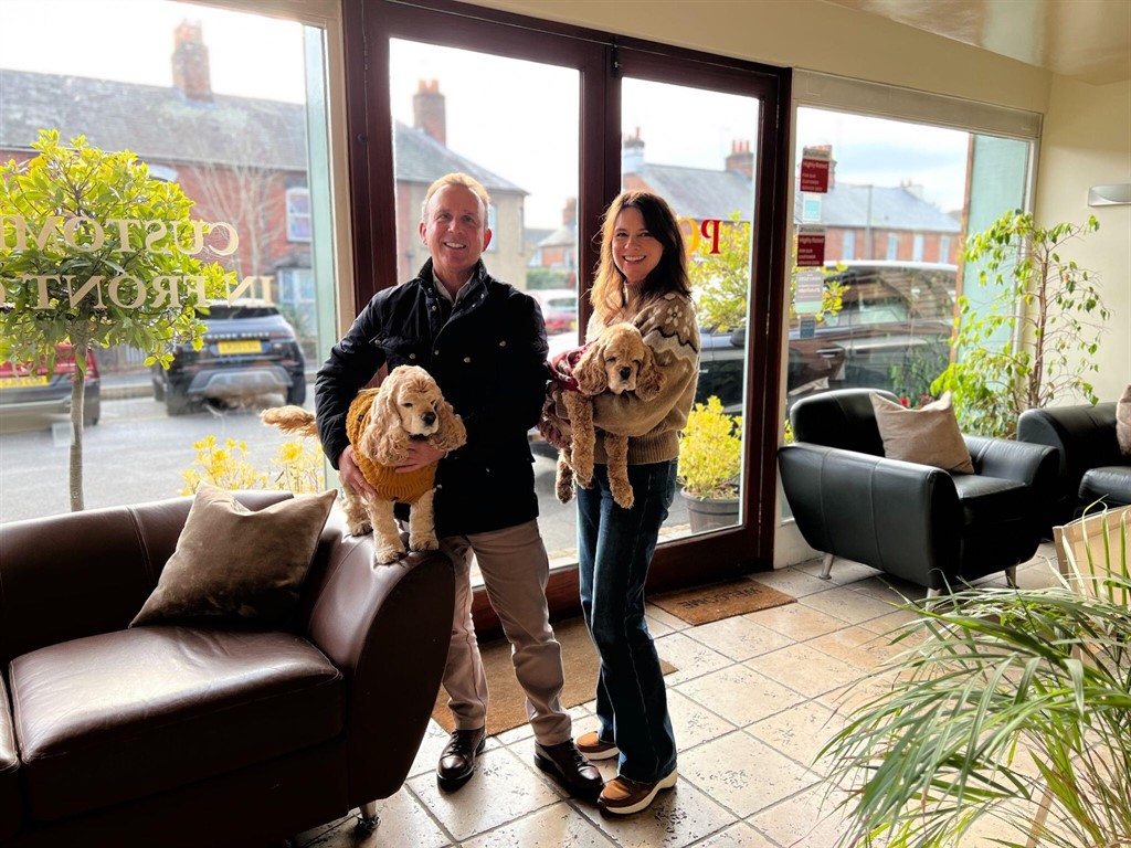 Used Land Rover Range Rover Velar 2022 for sale - 77778801: Photo 7