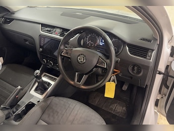 Used Skoda Octavia 2019 for sale - 77459971: Photo