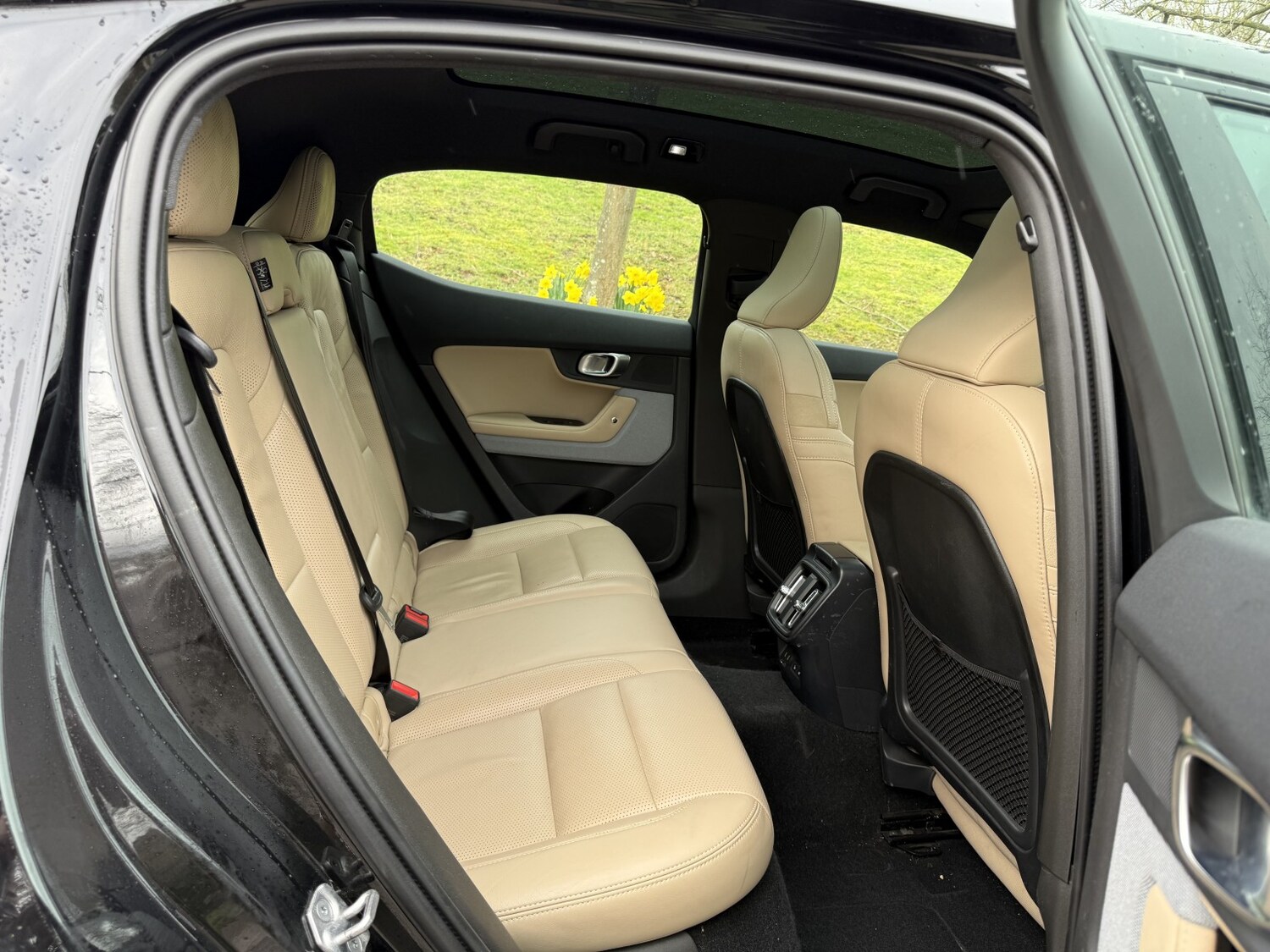 Used Polestar Polestar 2 2022 for sale - 77906655: Photo 10