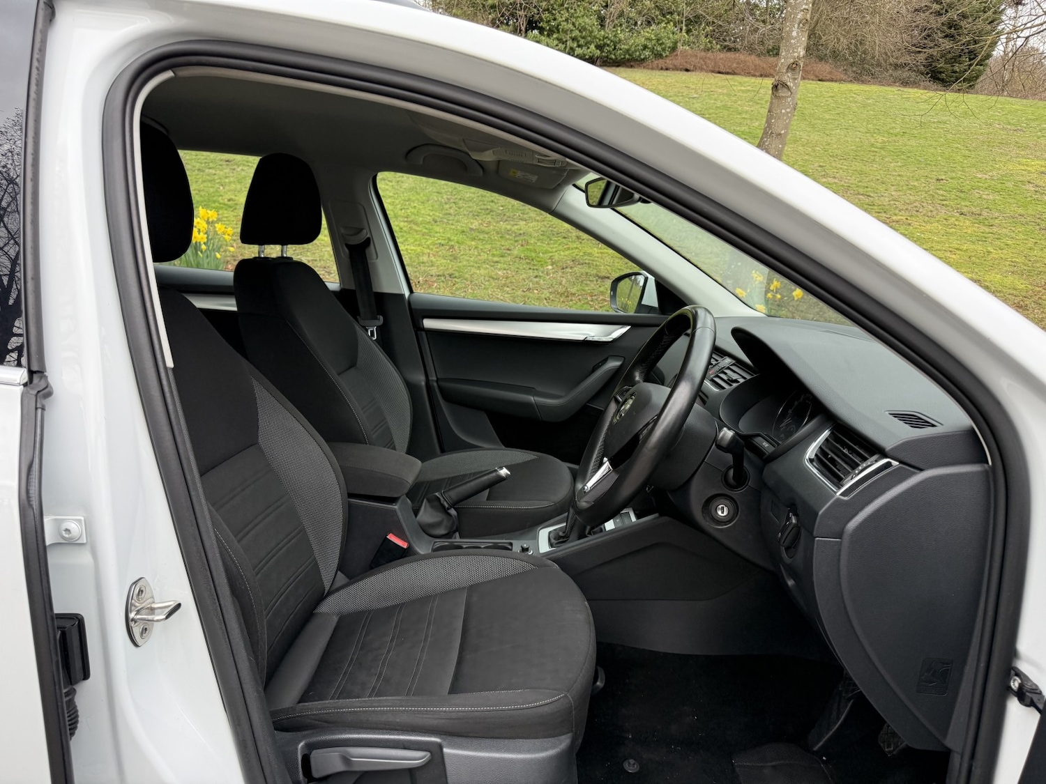 Used Skoda Octavia 2019 for sale - 78070454: Photo 11