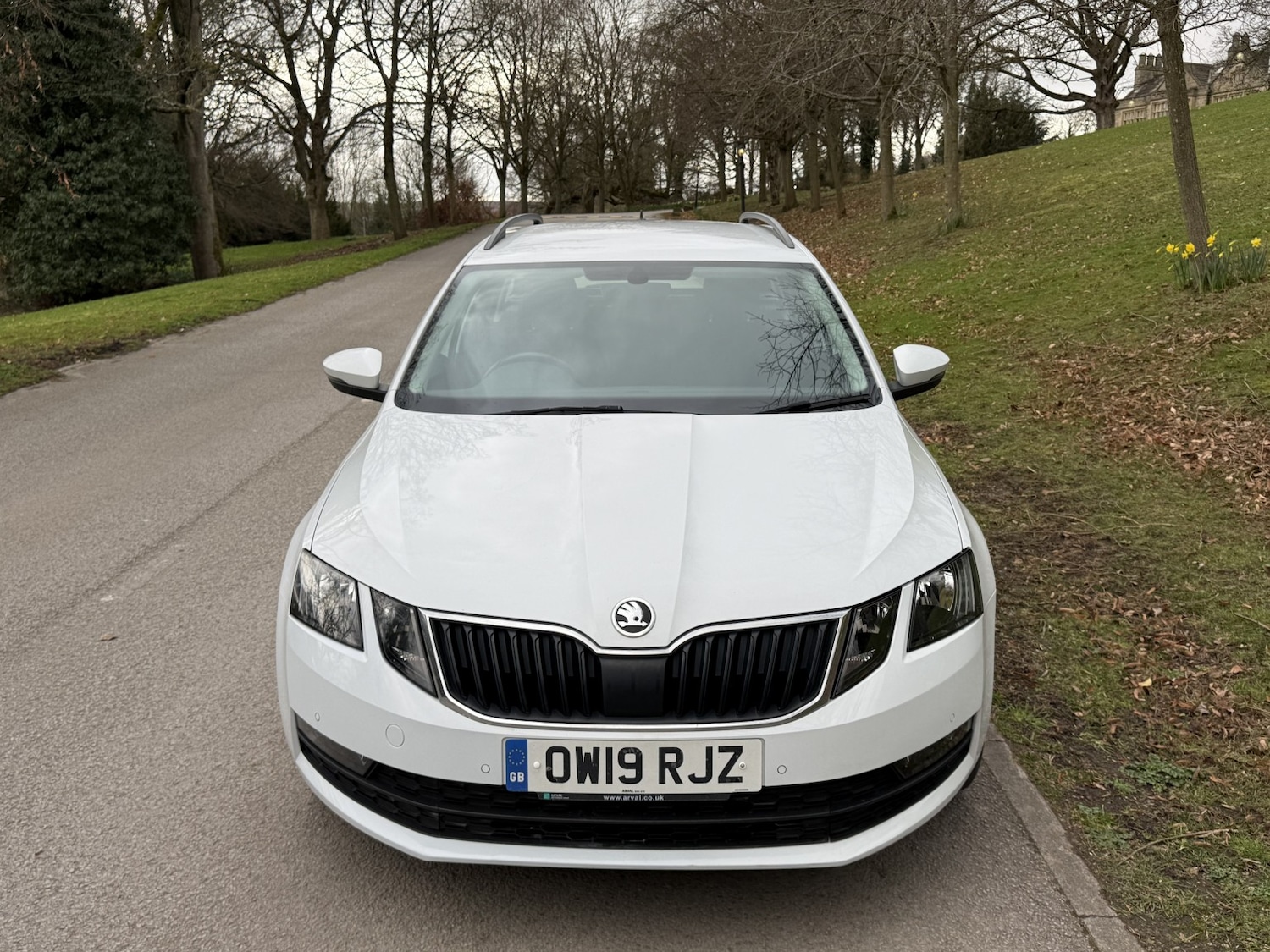 Used Skoda Octavia 2019 for sale - 78070454: Photo 7