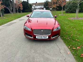 Used Jaguar XF 2019 for sale - 76984418: Photo