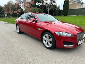 Used Jaguar XF 2019 for sale - 76984418: Photo