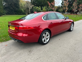 Used Jaguar XF 2019 for sale - 76984418: Photo