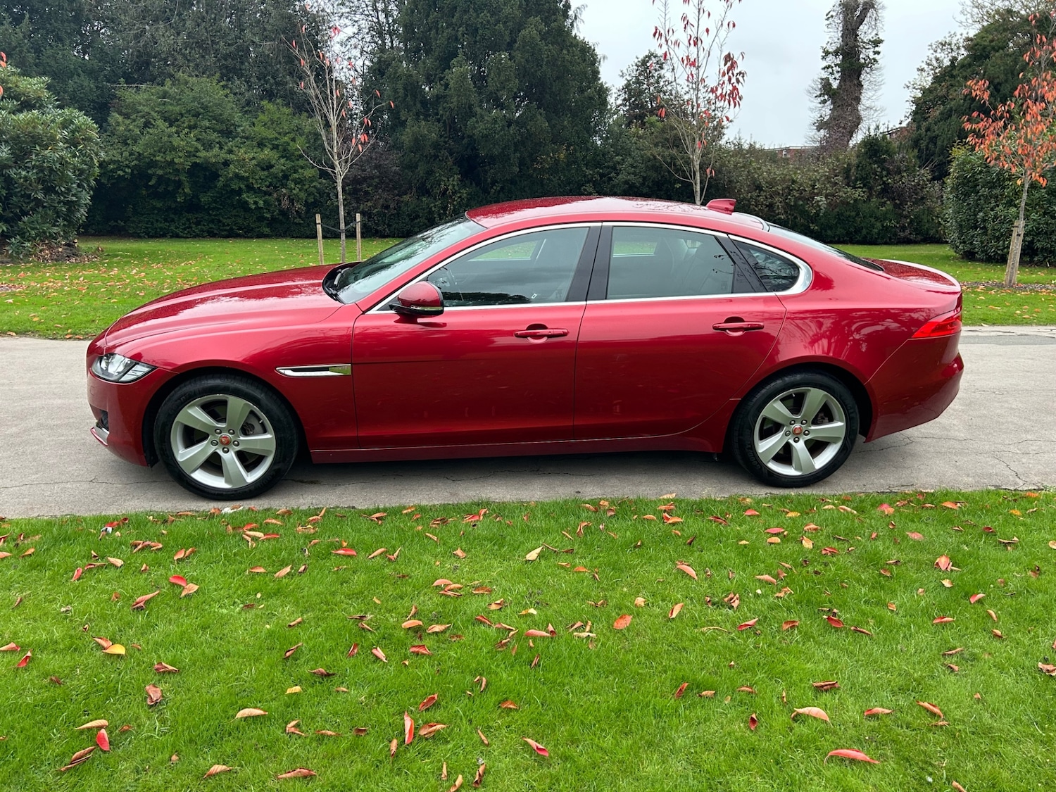 Used Jaguar XF 2019 for sale - 76984418: Photo 8