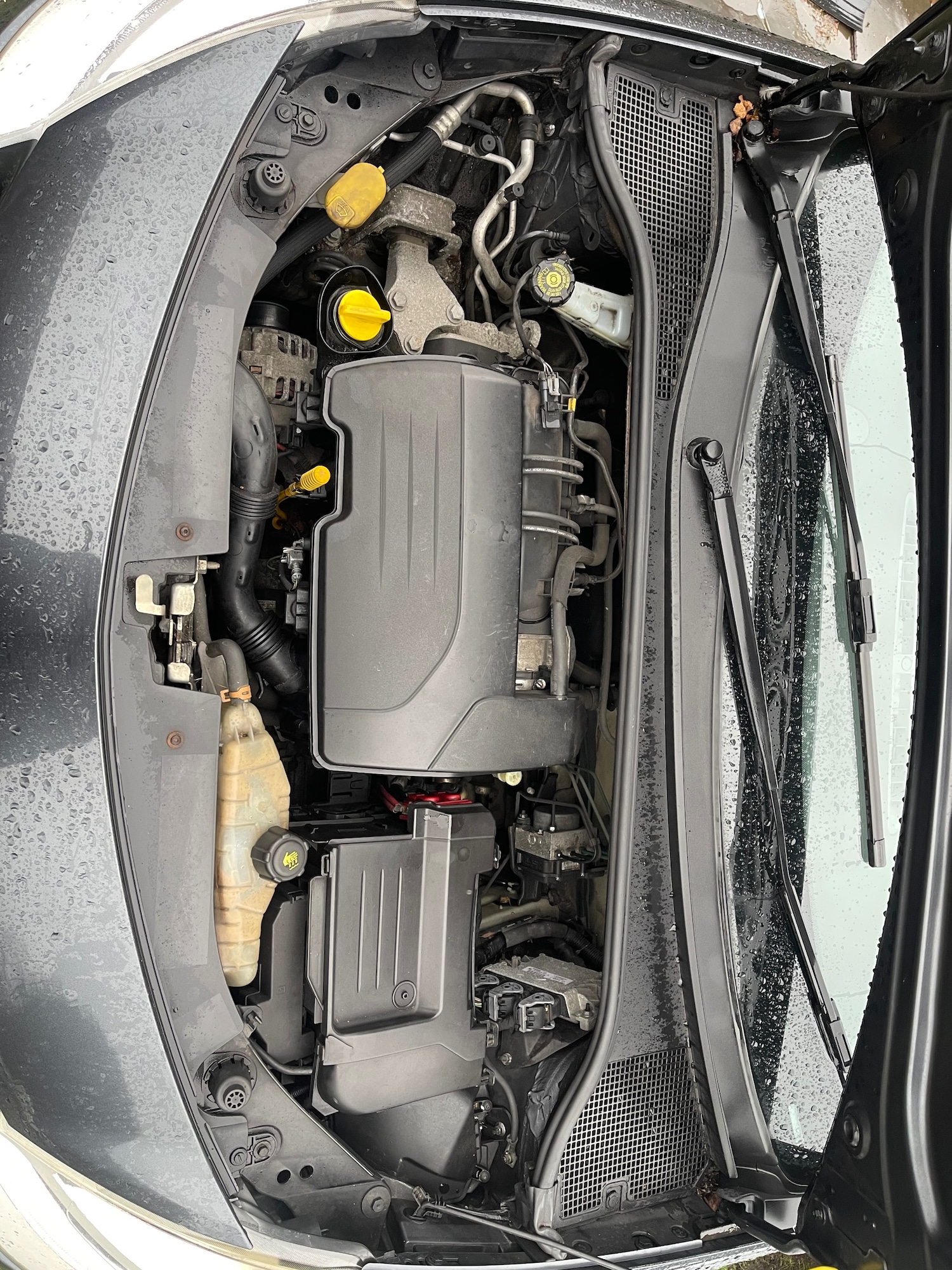 Used Renault Clio 2008 for sale - 77282976: Photo 14