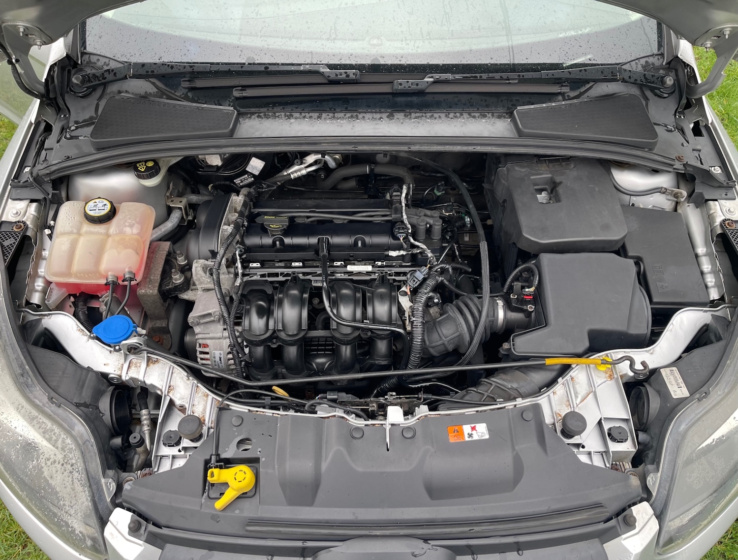 Used Ford Focus 2011 for sale - 77530409: Photo 16