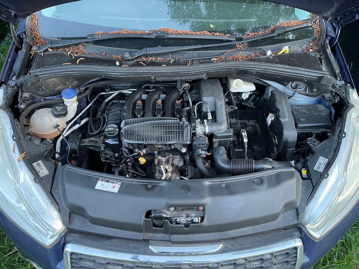 Vehicle 8