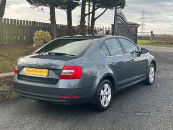 Used Skoda Octavia 2019 for sale - 73464198: Photo