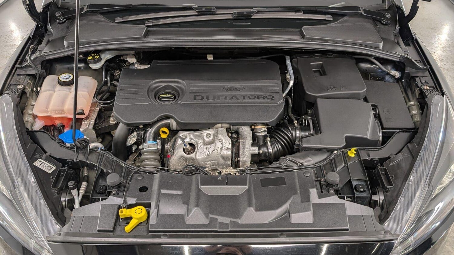 Used Ford Focus for sale - 77496377: Photo 17