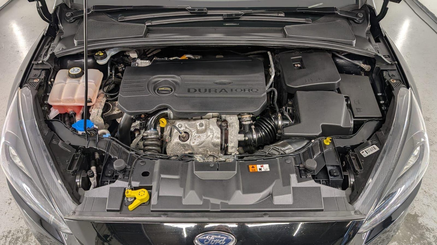 Used Ford Focus for sale - 77016511: Photo 64