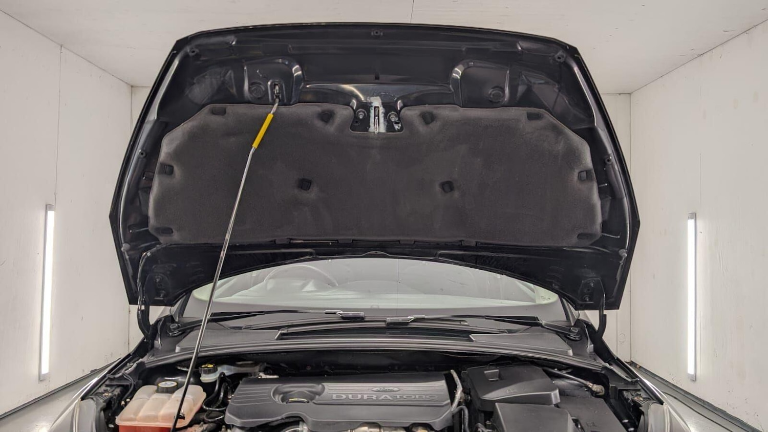 Used Ford Focus for sale - 77016511: Photo 94