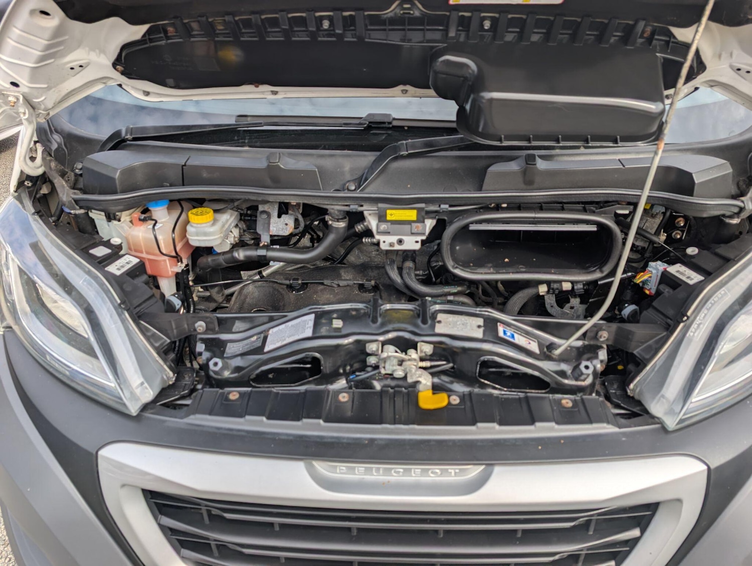 Used Peugeot Boxer 2017 for sale - 76484538: Photo 48