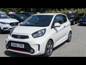2016 (66) - 1.25 Chilli EcoDynamics 3dr