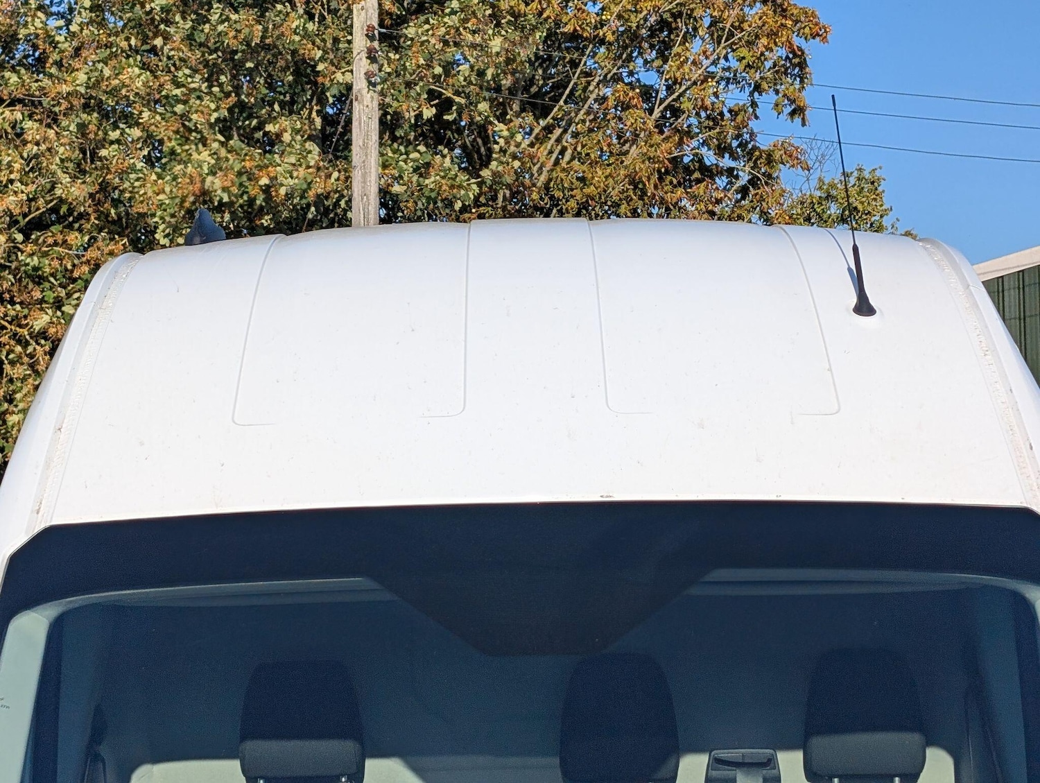 Used Ford Transit 2023 for sale - 76013723: Photo 41